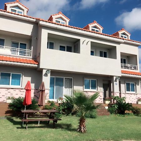 Dodam Dodam Pension Seogwipo Exterior photo